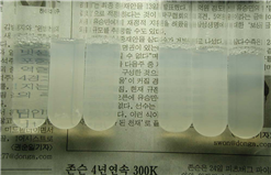 신문지 위에 유리관을 놓고 투명도로 수동면역결핍 간이진단 요령