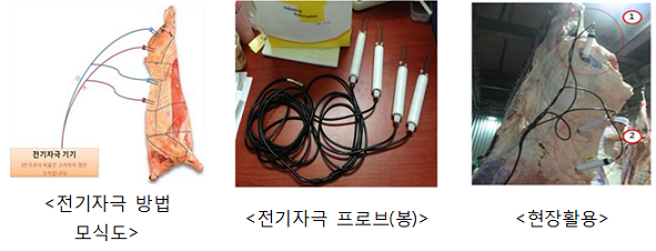 전기자극 방법 모식도, 전기자극 프로브(봉), 현장활용 이미지