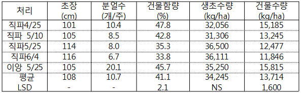 표. 직파시기에 따른 수량