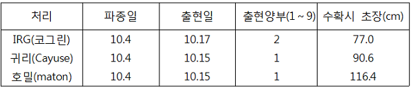 표. 동계 사료작물 품종별 생육특성