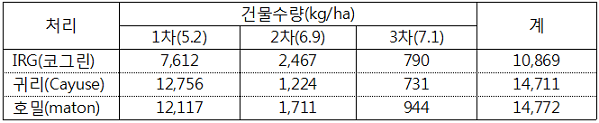 표. 동계 사료작물 품종별 건물수량(kg/ha)