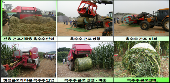 전용 곤포기활용 옥수수 인입, 옥수수곤포 성형, 옥수수곤포 이적, 볏짚곤포기이용 옥수수 인입, 옥수수 곤포 성형.배출, 옷수수 곤포 상태 이미지