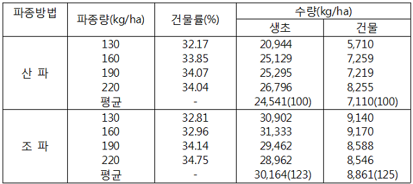 표. 총체보리 파종방법 및 파종량