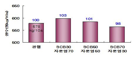 액비와 자운영 혼용 시 쌀 수량효과 그래프