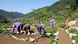 치유농업 활동이 ‘생활습관성 질환’ 관리에 도움