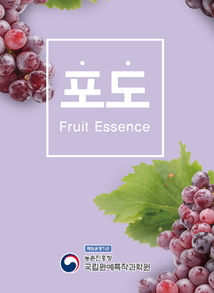 포도 Fruit Essence 책임운영기관 농촌진흥청 국립원예특작과학원