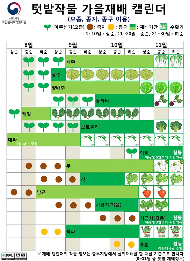 텃밭작물 가을재배 캘린더(모종, 종자, 종구 이용)-재배 캘린더의 작물 정보는 중부지방에서 실외재배를 할 때를 기준으로 합니다. 8~11월 중 텃밭 재배정보 