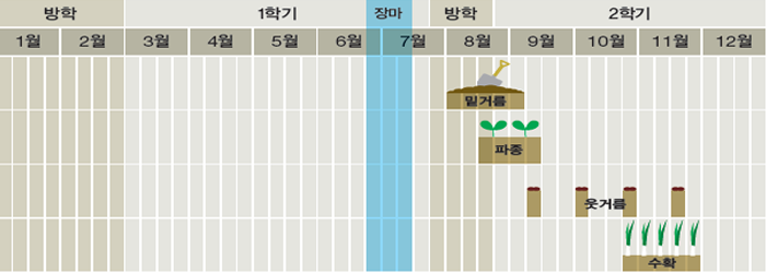 쪽파 재배 일정 사진