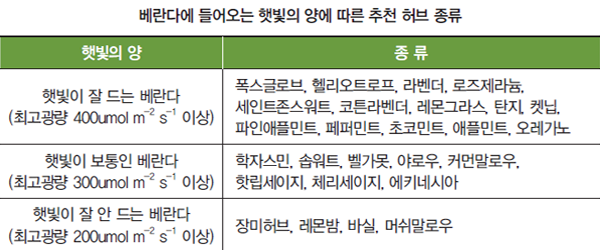 베란다에 들어오는 햇빛의 양에 따른 추천 허브 종류, 햇빛의 양, 종류, 햇빛이 잘 드는 베란다, 폭스글로브, 헬리오트로프, 라벤더, 로즈제라늄, 세인트존스워트, 코튼라벤더, 레몬그라스, 탄지, 켓닙, 파인애플민트, 페퍼민트, 초코민트, 애플민트, 오레가노, 햇빛이 보통인 베란다, 학자스민, 솝워트, 벨가못, 아로우, 커먼말로우, 핫립세이지, 체리세이지, 에키네시아, 햇빛이 잘 안드는 베란다, 장미허브, 레몬밤, 바실, 머쉬말로우