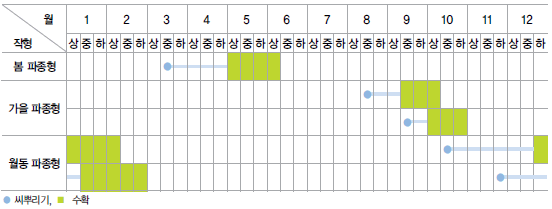 재배일정