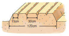 파종방법은 120㎝ 두둑 위에 양쪽 가장자리에 15㎝씩 남기고 30㎝간격으로 4줄의 골을 내어 줄뿌림 하는 것이 생육 상태가 고르고 관리작업이 편리하다