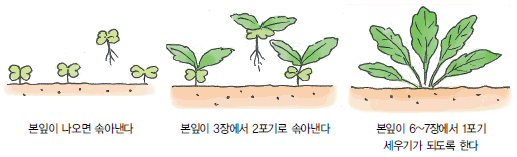 무