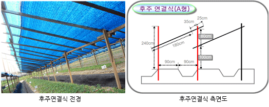 후주연결식 전경과 후주연결식 측면도