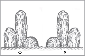 정원석의 수직선 조합을 시각의 편중별로 보여주는 그림