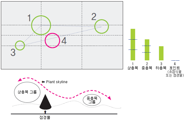 상층목,중층목,하층목 포인트(초점식물 또는 점경물) 의 개념도