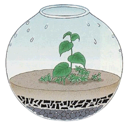 투명한 용기에 식물을 재배하는 테라리움(Terrarium)방식의 그림