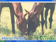 말 사양관리 프로그램 'Horse Power' 이미지(메인화면)