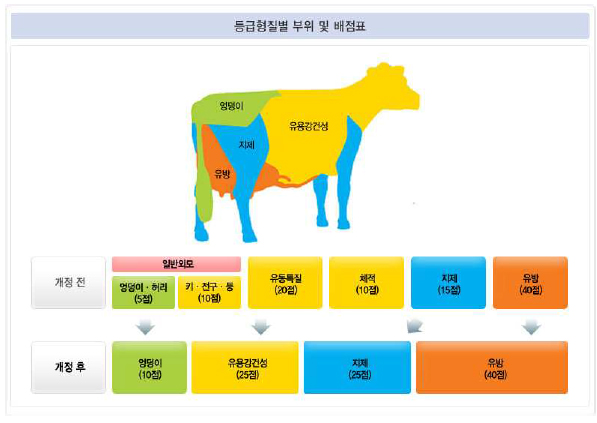 젖소 선형심사 등급형질별 부위 및 배점표