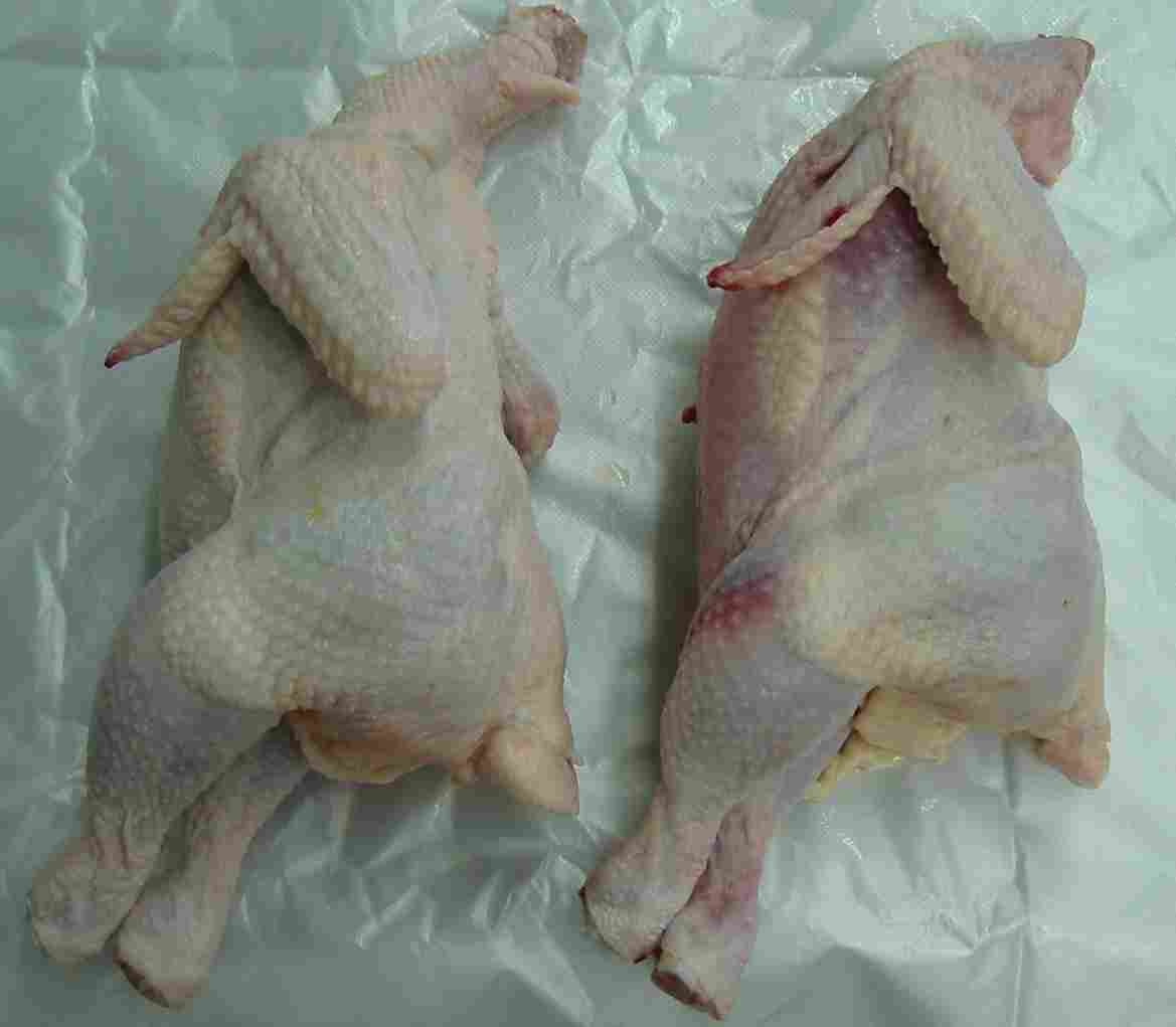 그림 3. 전압 차이에 의한 닭고기 육색 비교 (좌부터 50V, 90V)