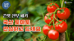 동영상 썸네일 이미지 :공포의 쓴 맛!? 놉! 이젠 멋쟁이 토마토~ 토마토🍅🎶