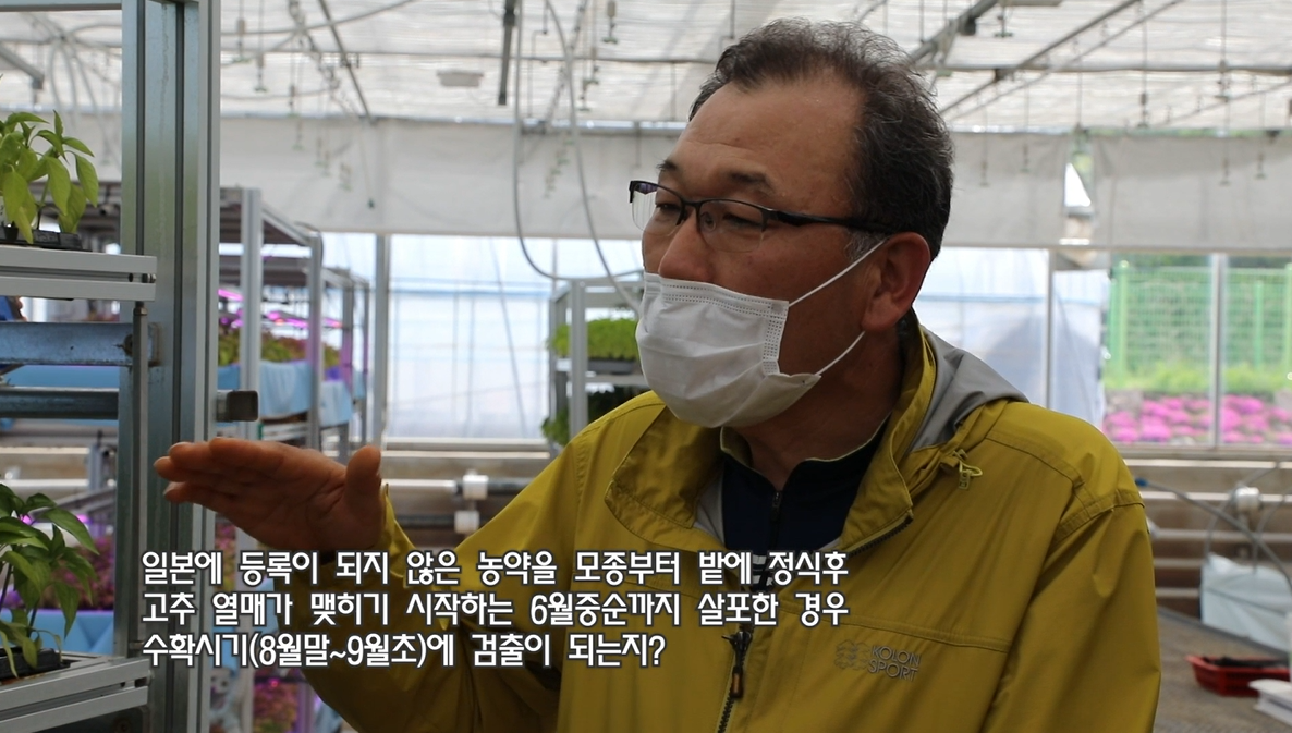 동영상 썸네일 이미지 :수출용 고추의 농약사용요령