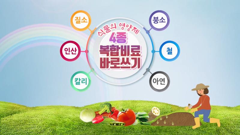 식물 영양제, 4종 복합비료 바로 쓰기