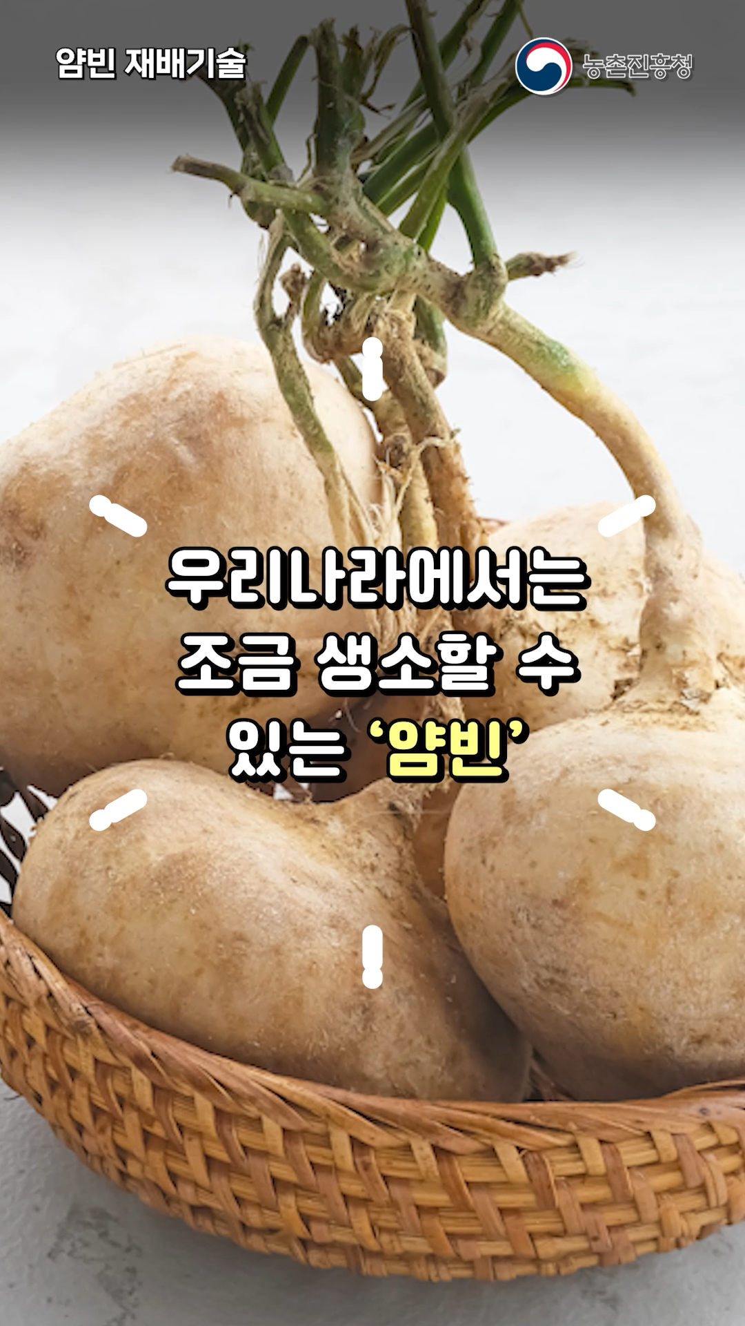 동영상 썸네일 이미지 :얌빈 직파시기와 육묘에 대해 알아볼까요?