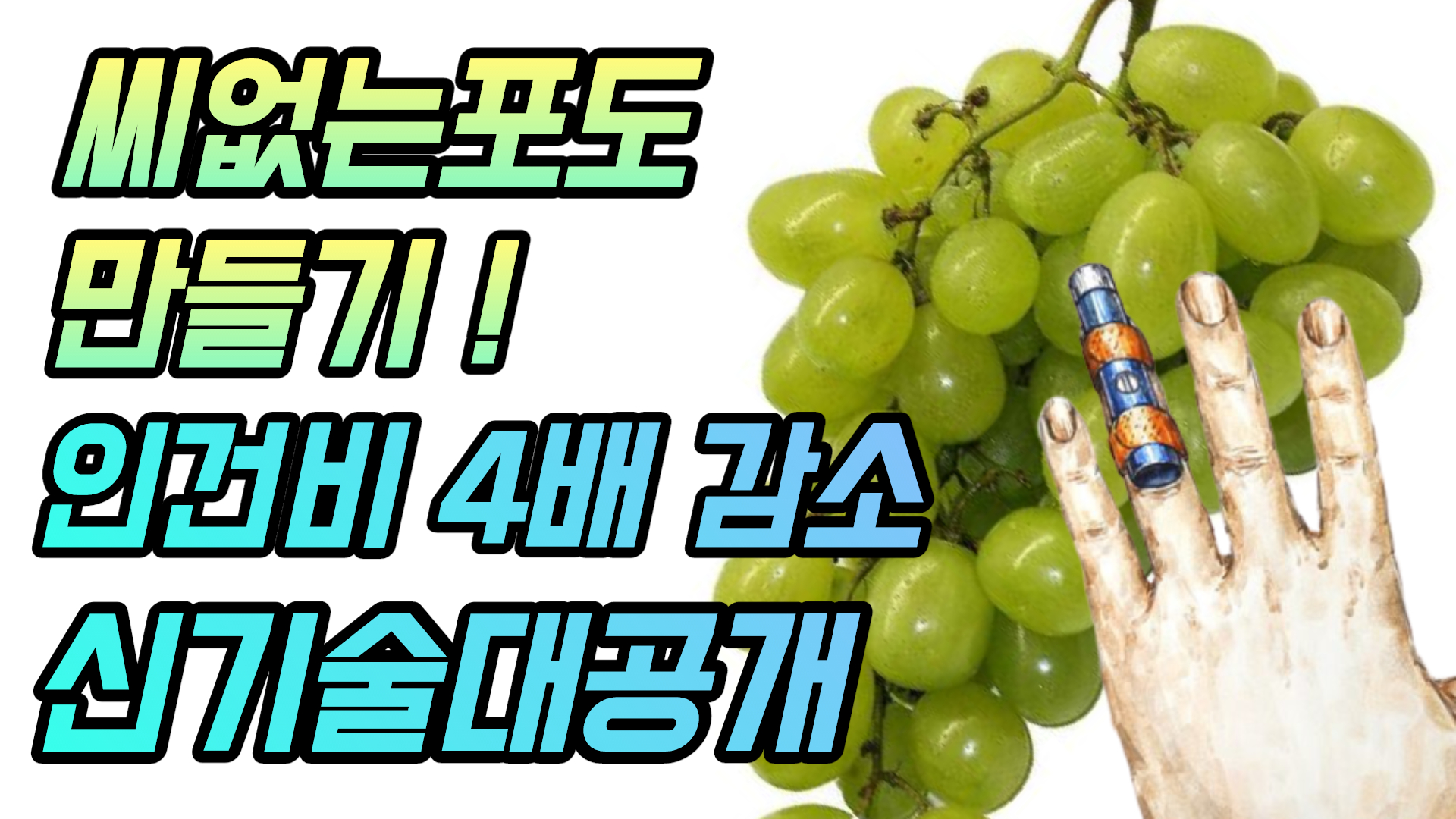 (with 귀농의신) 포도 생장조정제 처리표식기