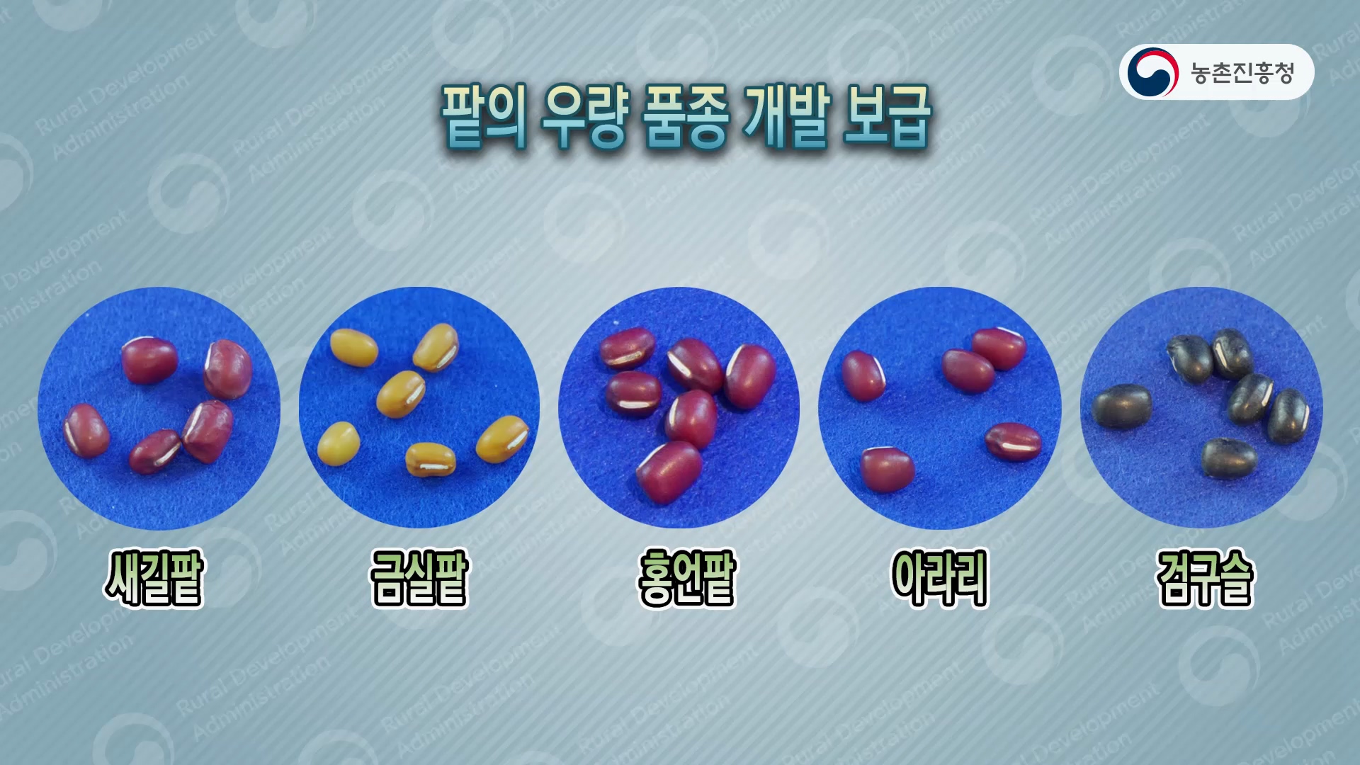 팥 품종 주요 특성
