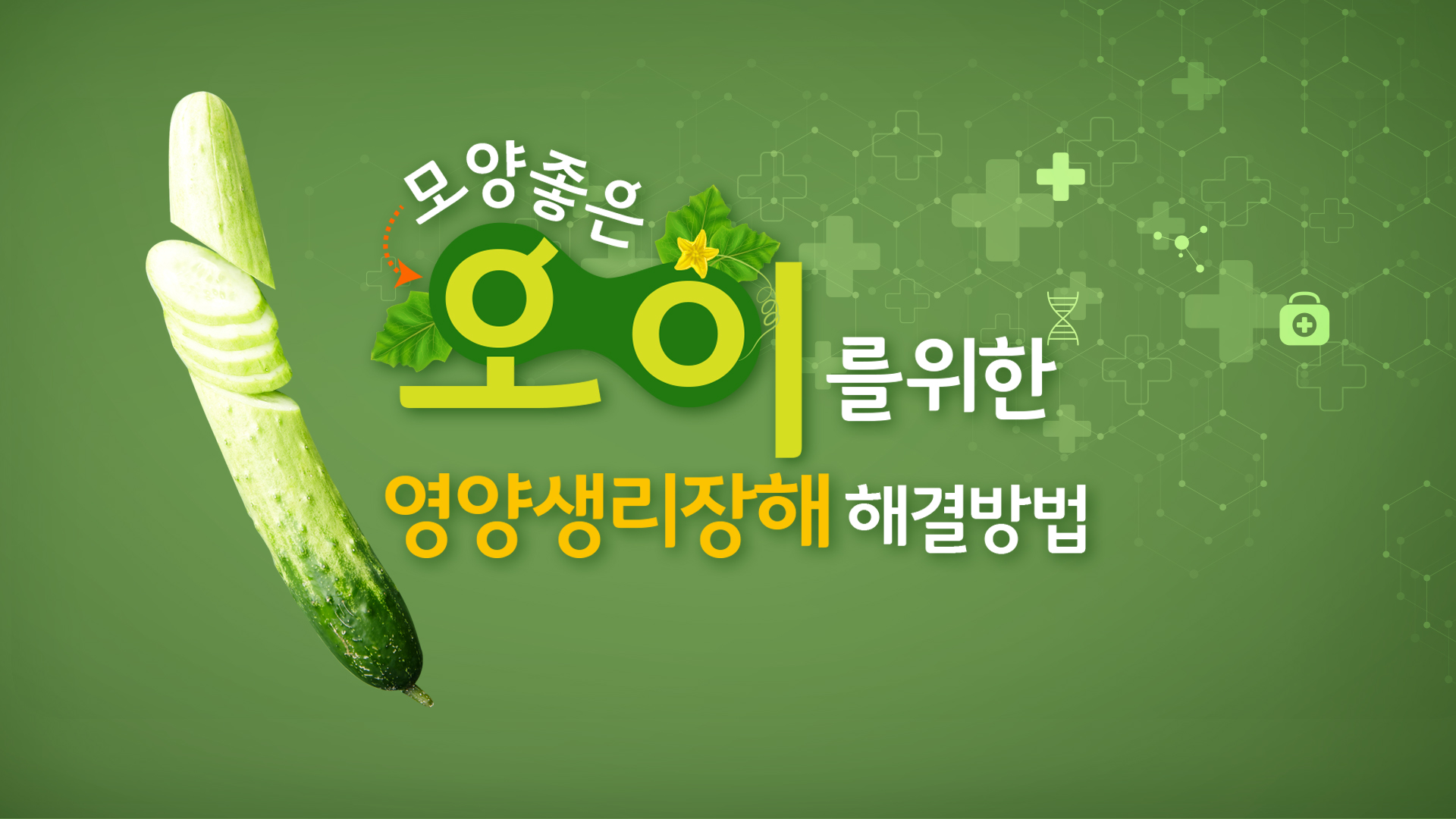 동영상 썸네일 이미지 :오이 영양생리장해 맞춤 솔루션(해결방법)
