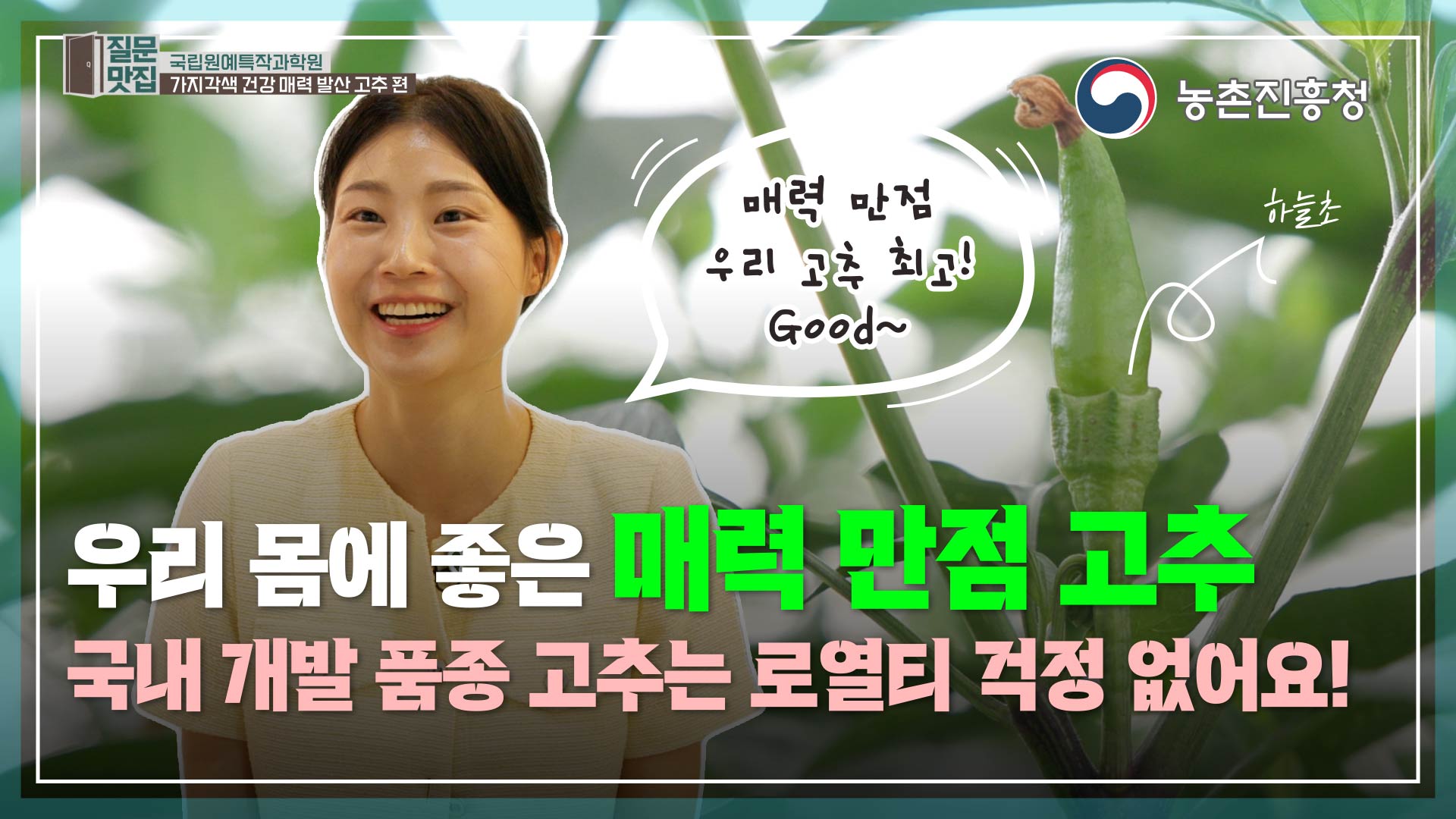 동영상 썸네일 이미지 :[질문맛집 7화] 현재 국내 개발 청양계 품종은 약 30여 종, 종자 자급률 100% 의미는!?