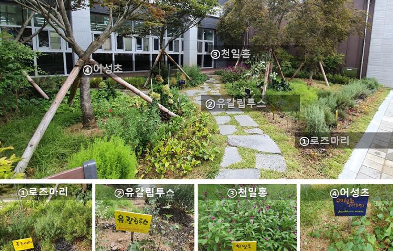 동영상 썸네일 이미지 :텃밭정원 자원을 활용한 인지중재 방법 소개
