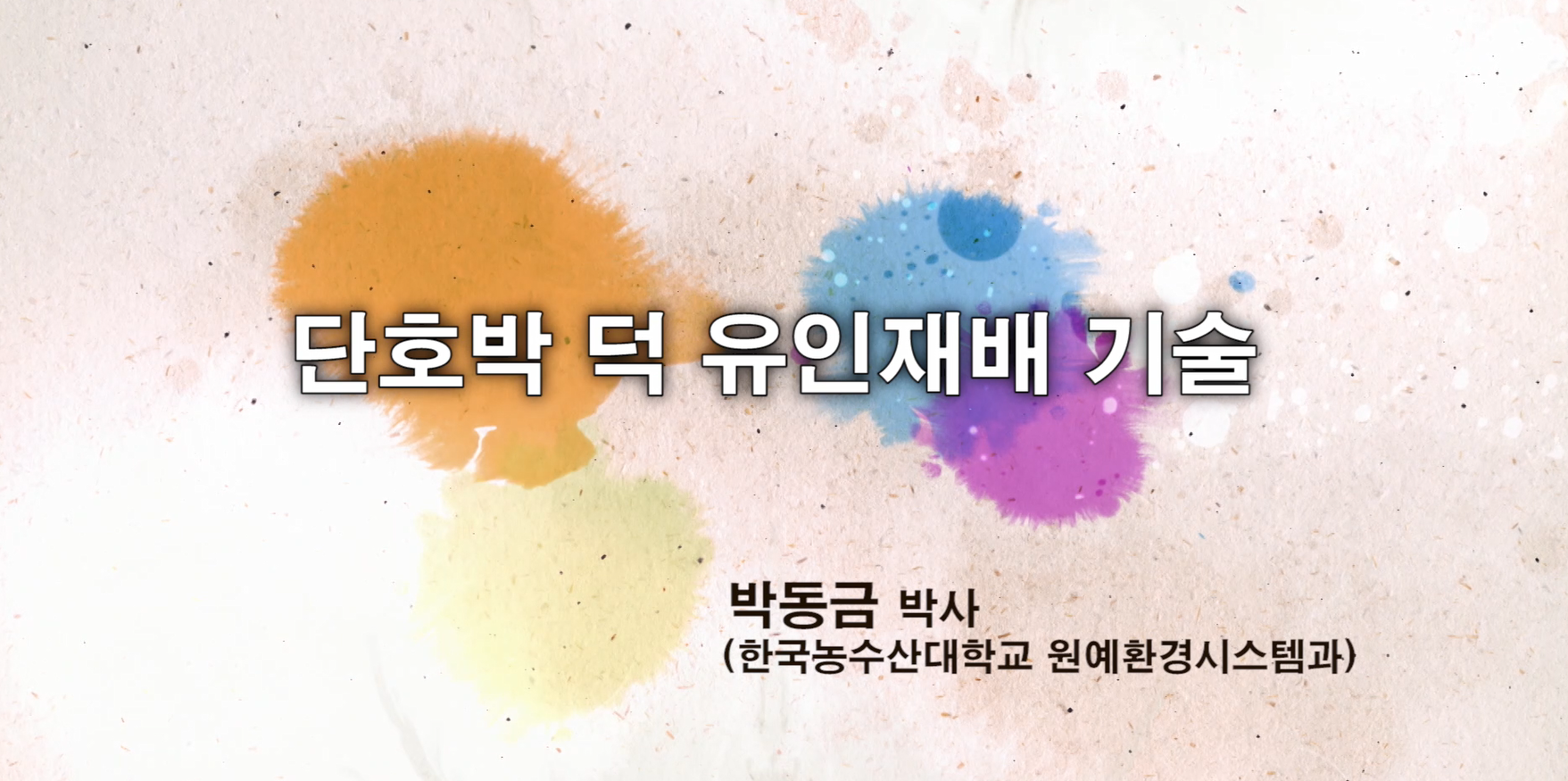 동영상 썸네일 이미지 :단호박 덕유인 재배기술