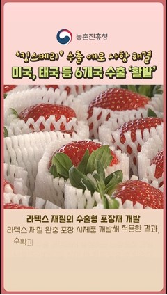 동영상 썸네일 이미지 :'킹스베리' 수출 애로 사항 해결!? 어떻게?~