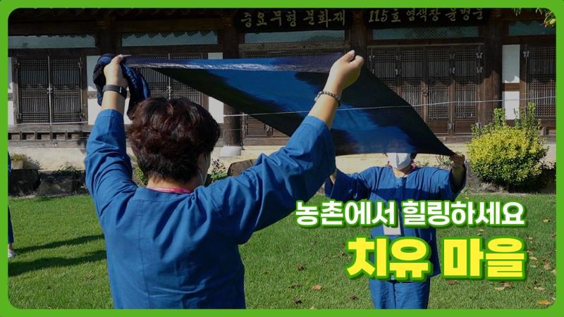 농촌에서 힐링합니다. 치유관광 -나주 명하쪽빛마을 사례-