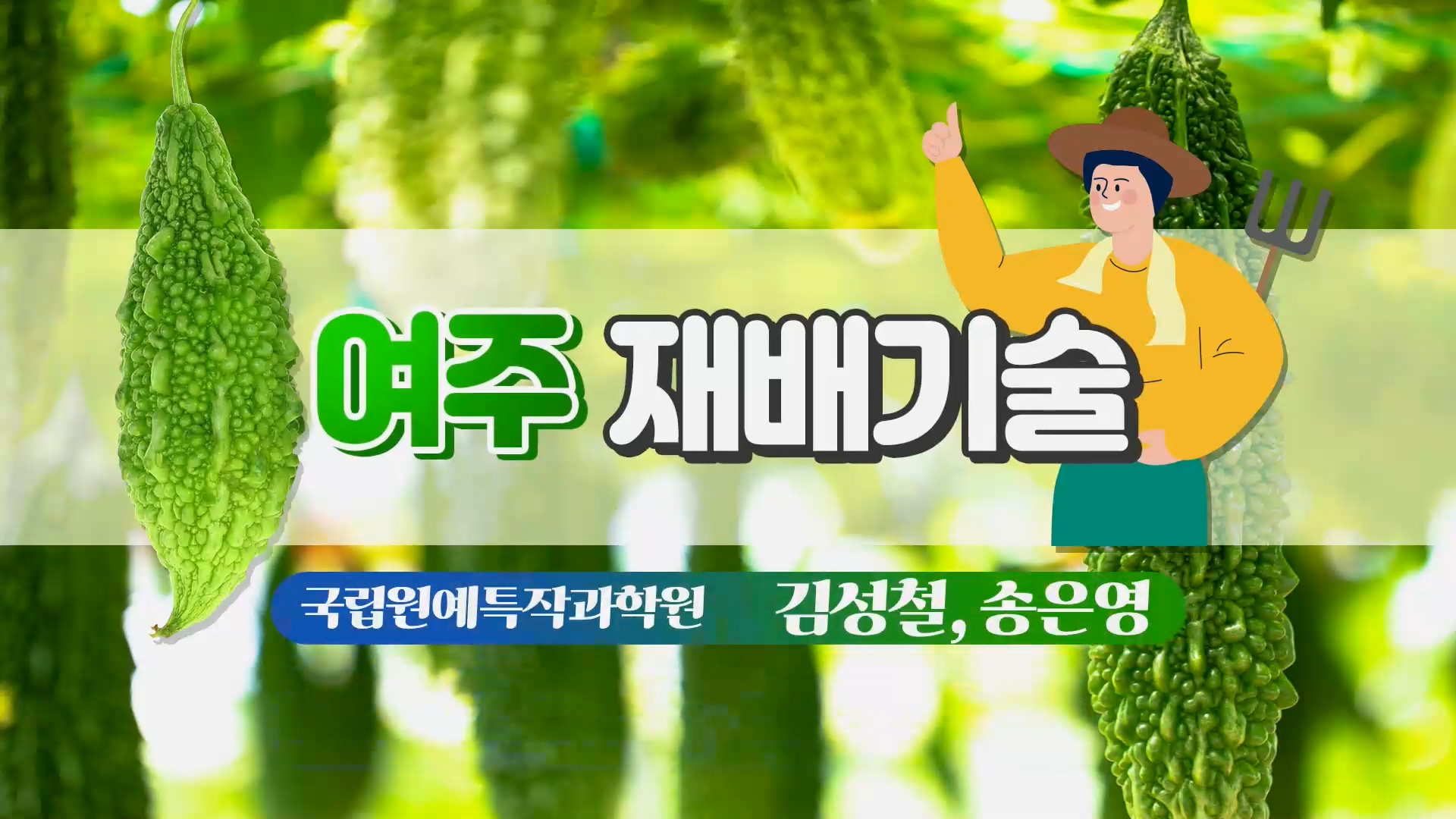 동영상 썸네일 이미지 :여주 재배기술