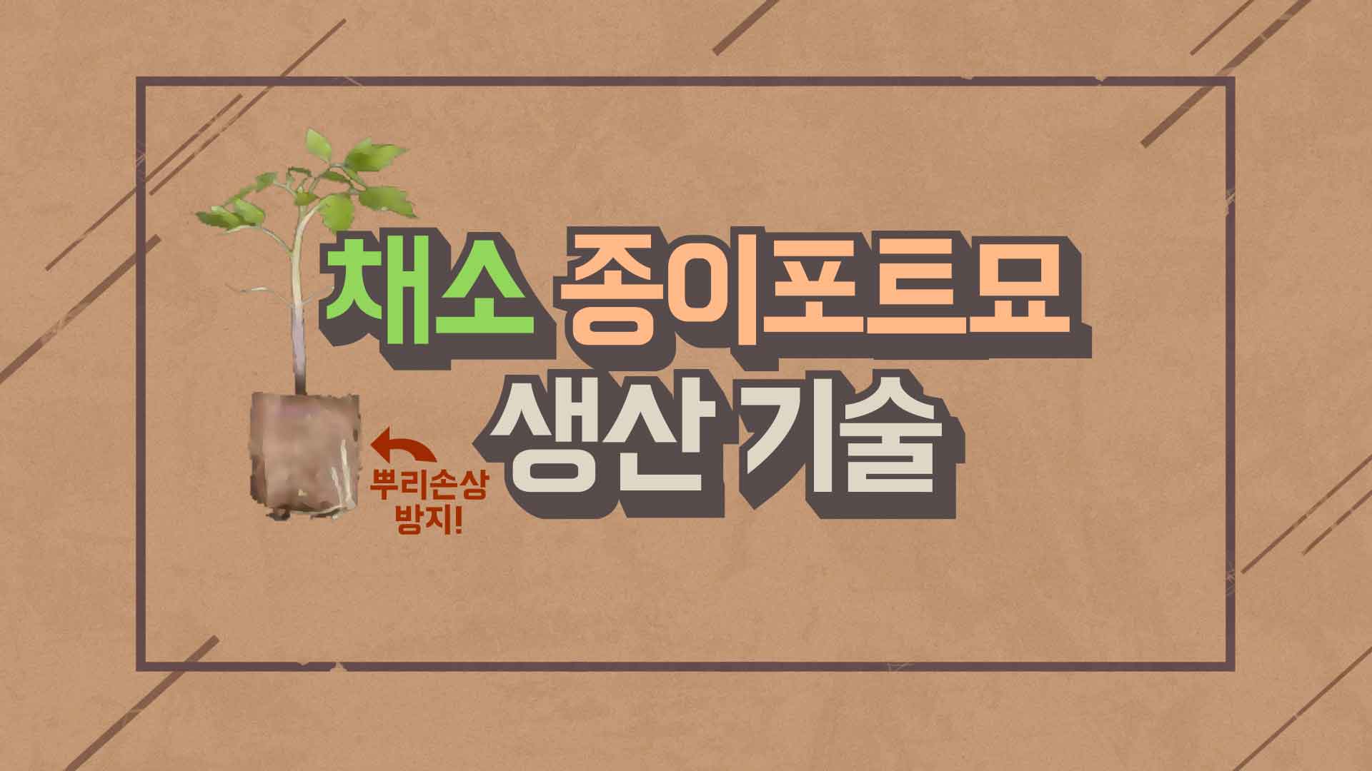 동영상 썸네일 이미지 :채소 종이포트 묘 생산 기술