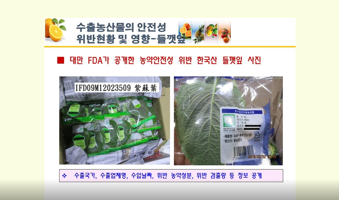 동영상 썸네일 이미지 :수출용 깻잎의 농약사용요령