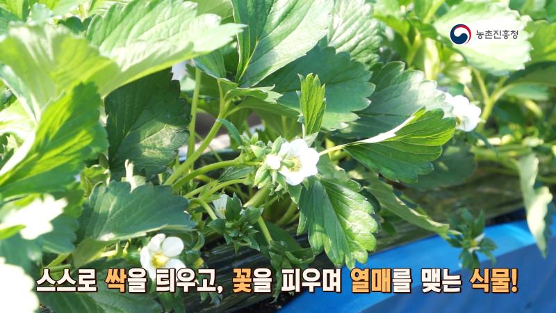 1. 비료를 사용해야 하는 이유가 있나요?