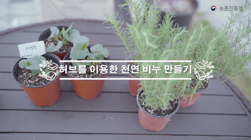 동영상 썸네일 이미지 :허브를 이용한 천연 비누만들기(衣)
