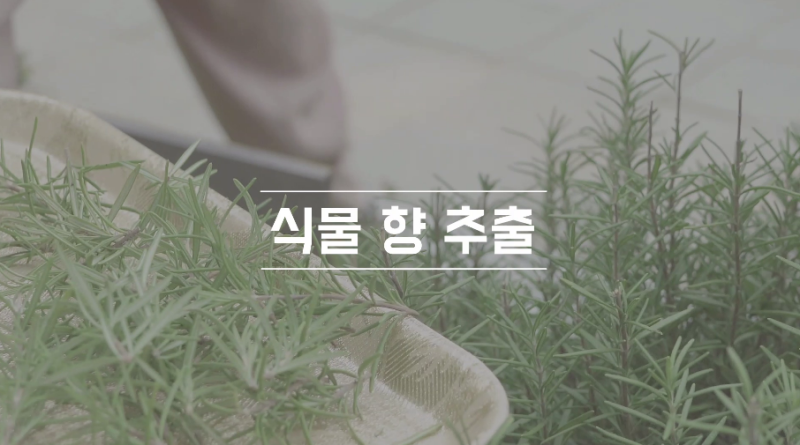 동영상 썸네일 이미지 :식물 향 추출