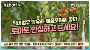 동영상 썸네일 이미지 :면역력 향상에 좋은 토마토 안심하고 드세요!(*°▽°*)╯