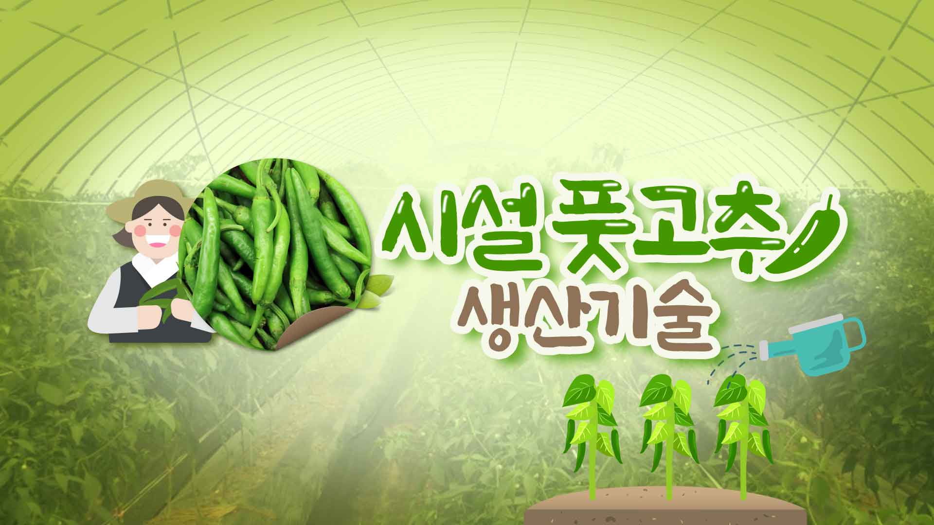 동영상 썸네일 이미지 :시설풋고추 생산기술