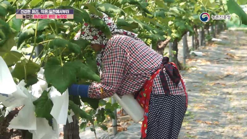 2. 농업인 허리질환 원인 농작업