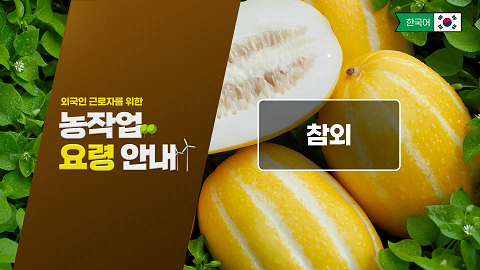 동영상 썸네일 이미지 :외국인 근로자를 위한 농작업 요령 안내(참외)