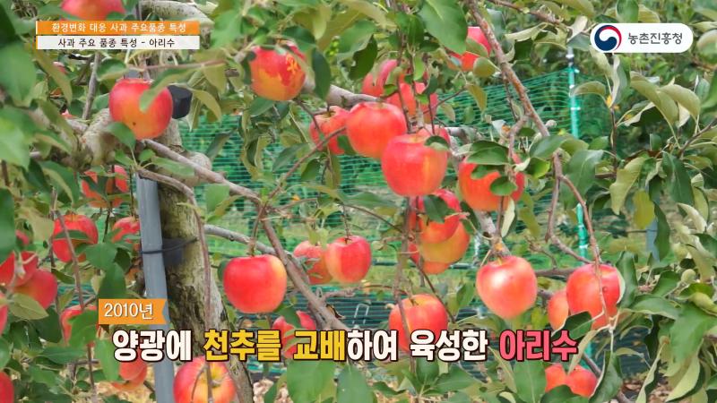 3_레드비타