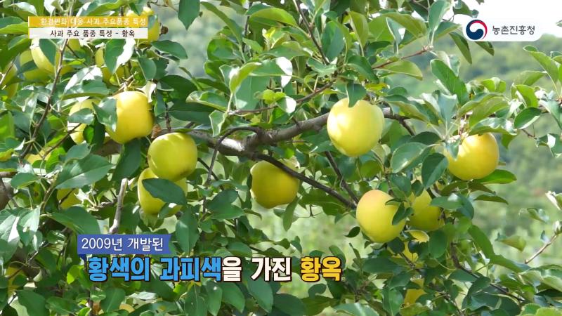 2_감록