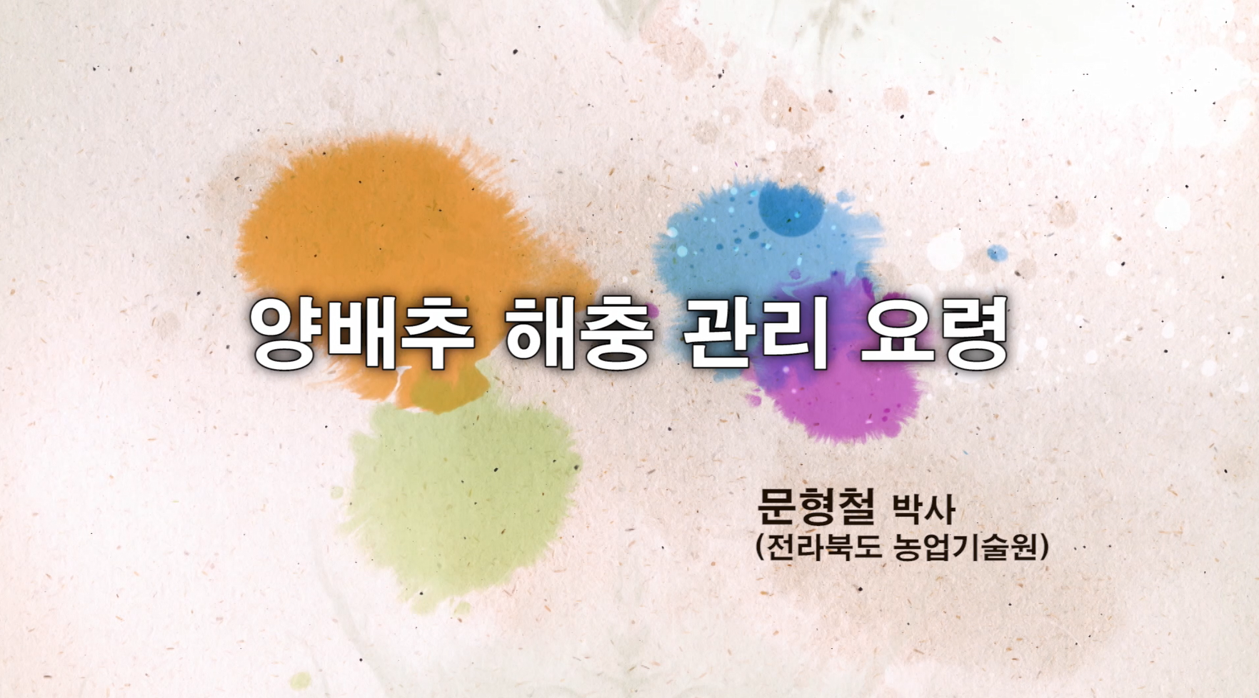 동영상 썸네일 이미지 :소형 양배추 해충 관리