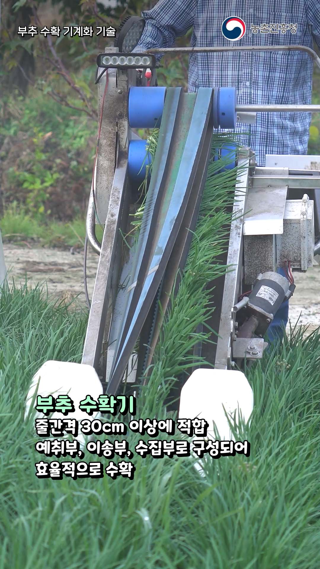 동영상 썸네일 이미지 :부추 수확 기계화 기술