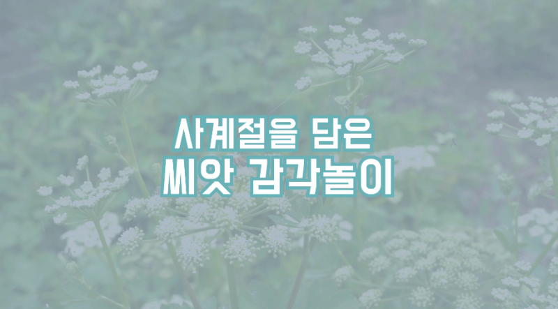 동영상 썸네일 이미지 :사계절을 담은 씨앗 감각놀이